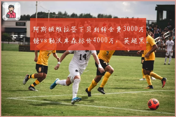 阿斯顿维拉签下贝利转会费3000万镑vs勒沃库森标价4000万，英超黑马引援