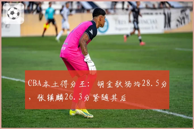 CBA本土得分王：胡金秋场均28.5分，张镇麟26.3分紧随其后